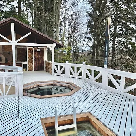 Chalet Mlyn