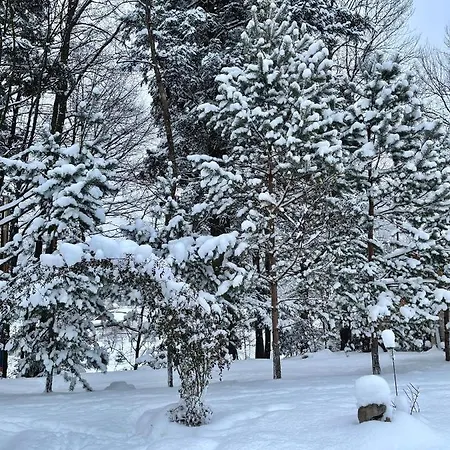 Mlyn Chalet Migovo